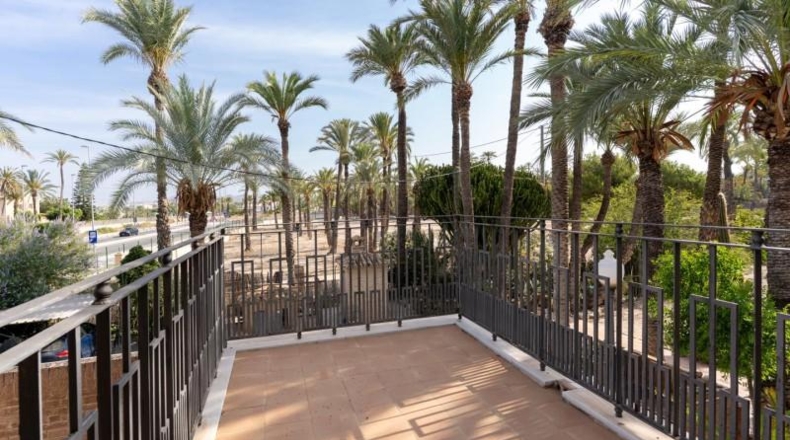 Alicante - Elche - 12000m2