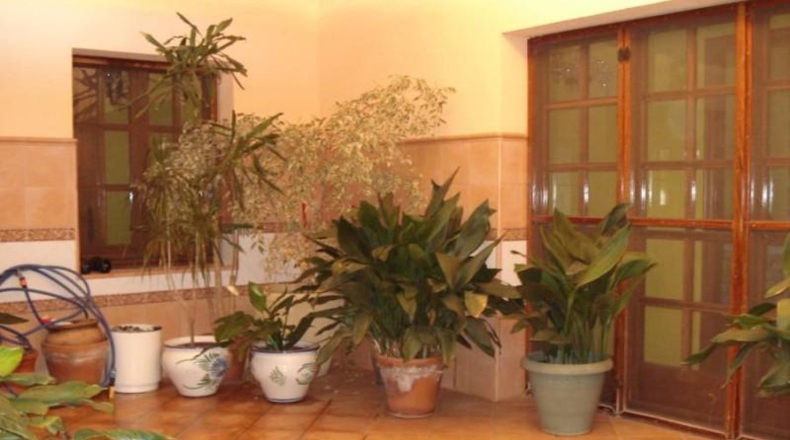 Tarragona - Santa Oliva - 17000m2