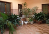 Chalet independiente con terreno en venta en la España, Santa Oliva, ref: TR169356 foto