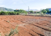 Xalet independent amb terreny en venda a la España, Pedreguer, ref.: TR133298 foto