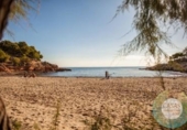 Chalet independiente con terreno en venta en la España, l'Ametlla de Mar, ref: TR314879 foto
