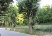 Land suitable for development for sale on España, Gualba de Baix, ref: TR121756 photo