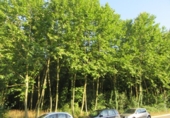Land suitable for development for sale on España, Gualba de Baix, ref: TR121756 photo