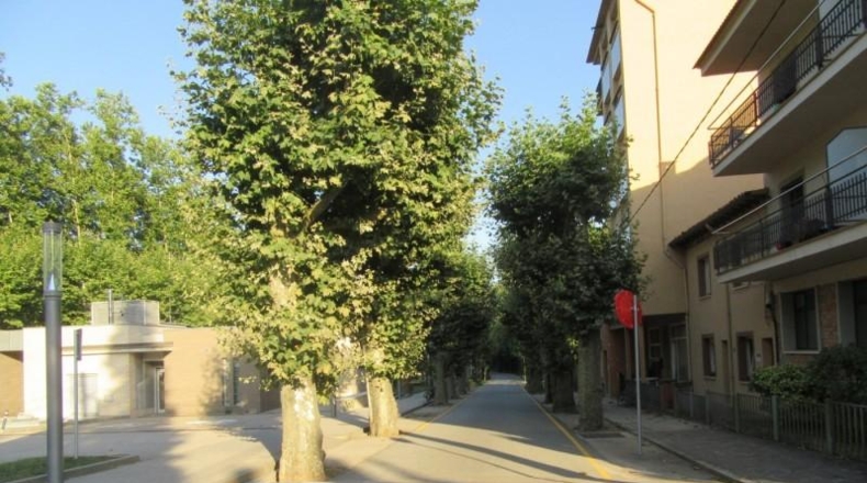 Barcelona - Gualba - 24110m2