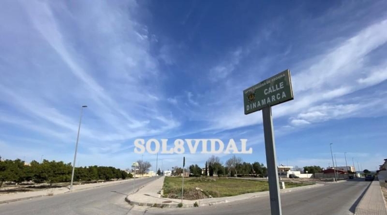 Alicante - Callosa de Segura - 3072m2