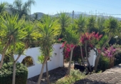 Casa de camp amb terreny en venda a la España, Coín, ref.: TR356444 foto