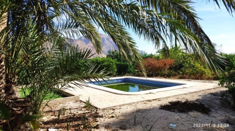 Alicante - Redován - 55000m2