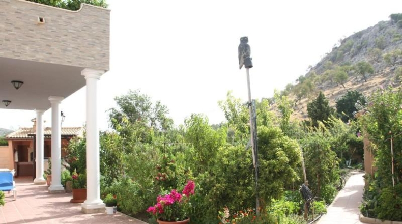 Málaga - Cuevas del Becerro - 653m2