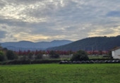 Non-developable land for sale on España, Torrelavega, ref: TR175995 photo