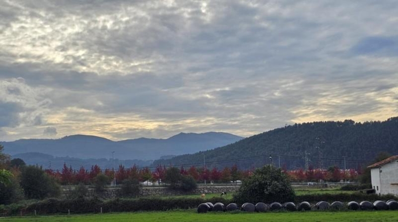 Cantabria - Torrelavega - 14000m2