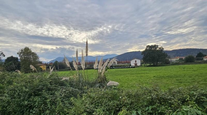 Cantabria - Torrelavega - 14000m2