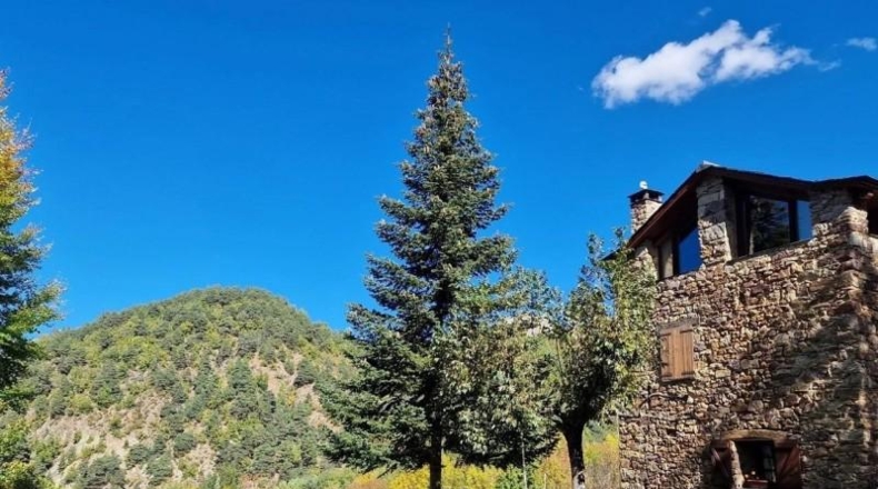 Huesca - Jaca - 10000m2