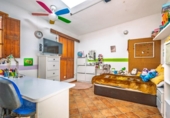 Casa de campo con terreno en venta en la España, Bunyola, ref: TR240674 foto
