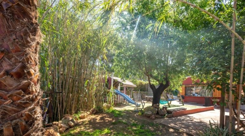 Balearic Islands - Buñola - 1000m2