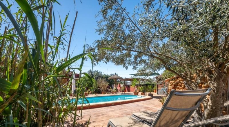 Balearic Islands - Buñola - 1000m2