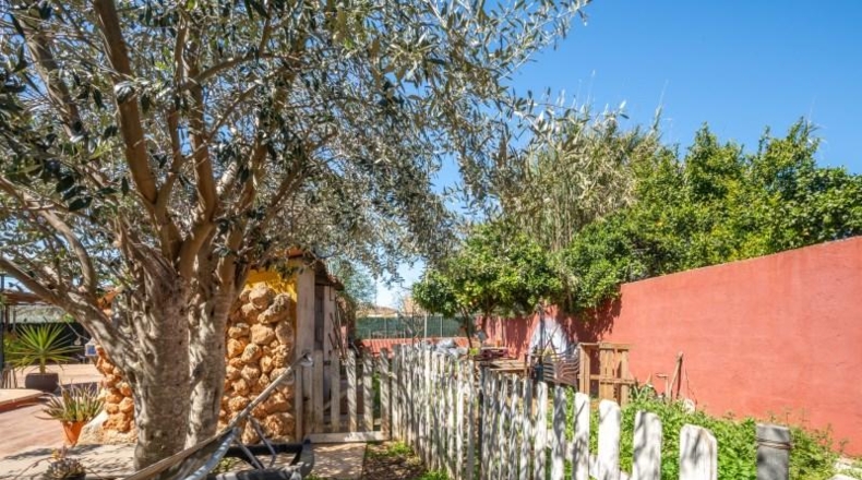 Balearic Islands - Buñola - 1000m2