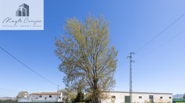 Гранада - Granada - 47045m2
