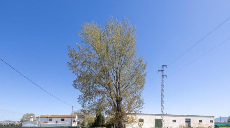 Гранада - Granada - 47045m2