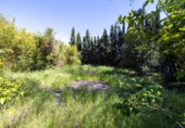 Casa de campo con terreno en venta en la España, Granada, ref: TR310155 foto