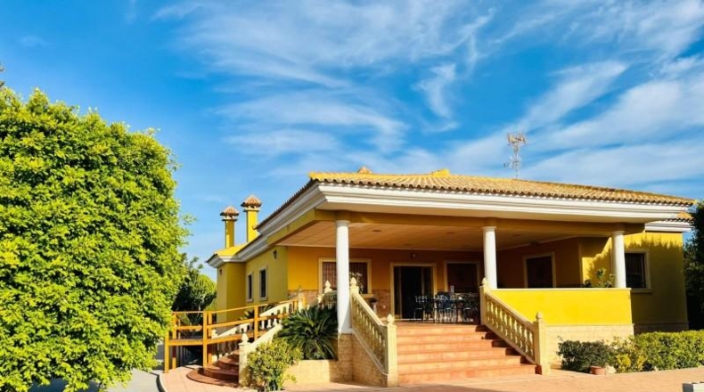 Alicante - Elx - 4000m2