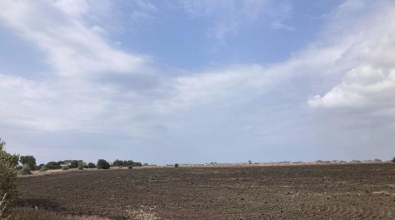 Cádiz - Vejer de la Frontera - 26267m2
