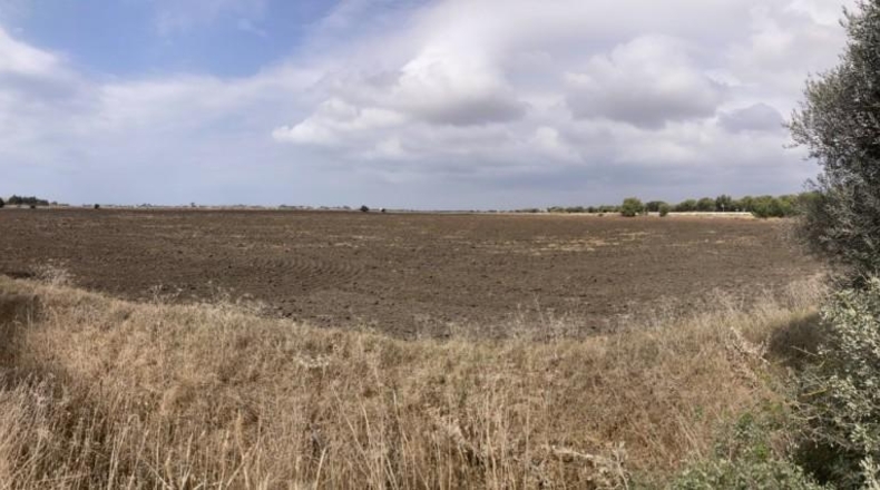 Cádiz - Vejer de la Frontera - 26267m2