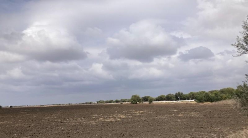 Cádiz - Vejer de la Frontera - 26267m2