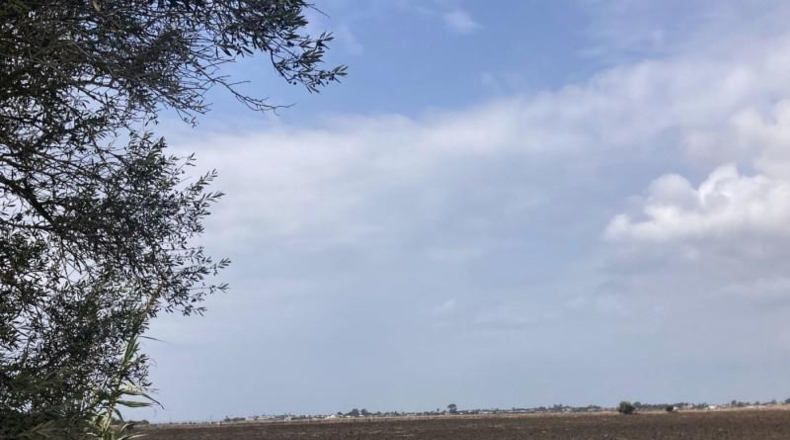 Cádiz - Vejer de la Frontera - 26267m2