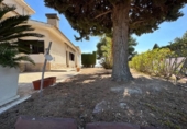 Xalet independent amb terreny en venda a la España, Elx, ref.: TR147120 foto