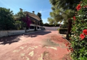 Xalet independent amb terreny en venda a la España, Elx, ref.: TR147120 foto