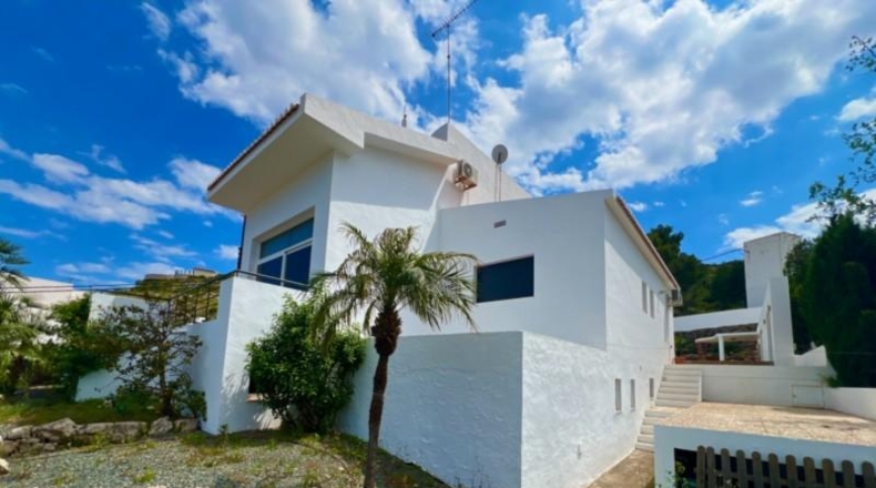 Alicante - Pedreguer - 1900m2