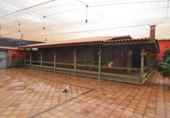 Casa amb terreny en venda a la España, Santa Lucía de Tirajana, ref.: TR299343 foto
