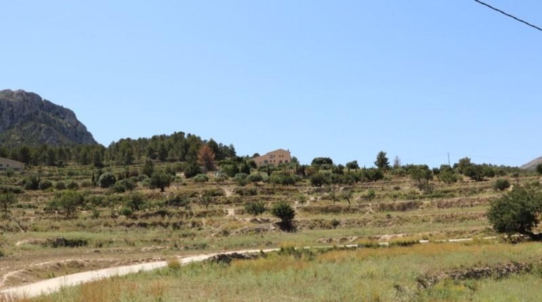 Alicante - Benissa - 13000m2