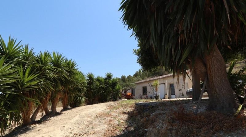 Alicante - Benissa - 13000m2