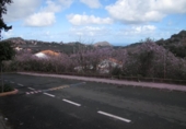 Urban land for sale on España, Santa Brígida, ref: TR113998 photo