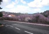 Urban land for sale on España, Santa Brígida, ref: TR113998 photo