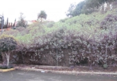 Urban land for sale on España, Santa Brígida, ref: TR113998 photo
