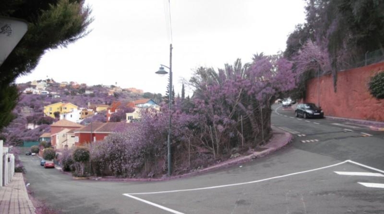 Las Palmas - Santa Brígida - 1500m2
