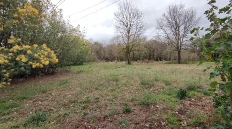 Girona - Riells - 17300m2