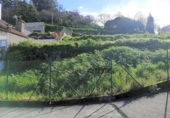 Casa con terreno en venta en la España, Vigo, ref: TR280004 foto