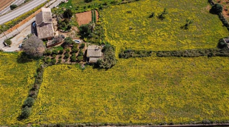 Illes Balears - Santa Maria del Camí - 15045m2