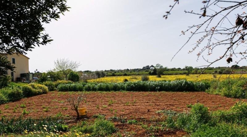 Illes Balears - Santa Maria del Camí - 15045m2