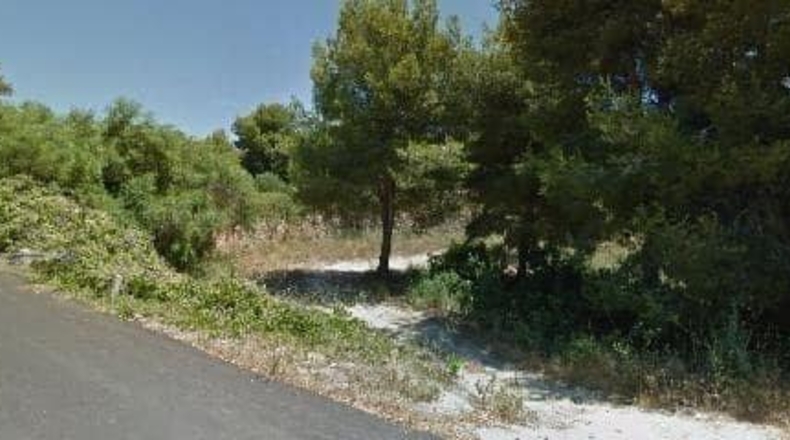 Alicante - Benisa - 9500m2