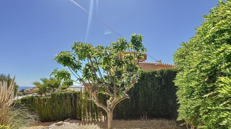 Alicante - Benitachell - 615m2