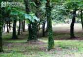 Finca rústica en venda a la España, Eiravedra, ref.: TR342722 foto