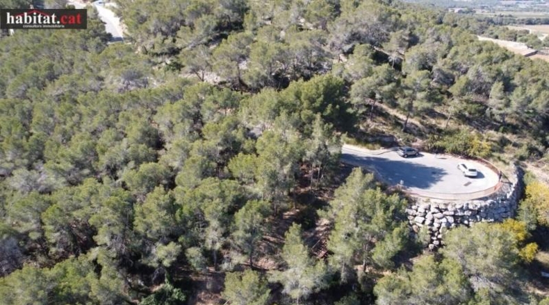 Barcelona - Sant Pere de Ribes - 3931m2