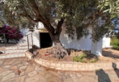 Casa de camp amb terreny en venda a la España, Orba, ref.: TR318873 foto