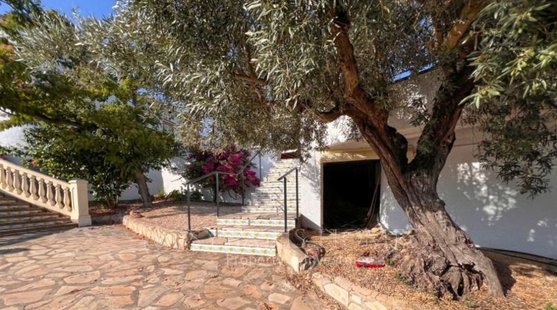 Alicante - Orba - 1541m2