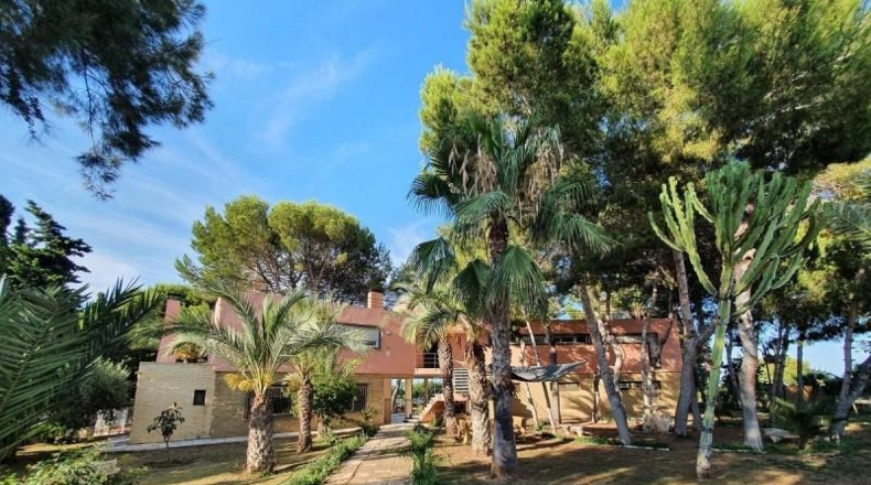 Alicante - Torrevieja - 5000m2