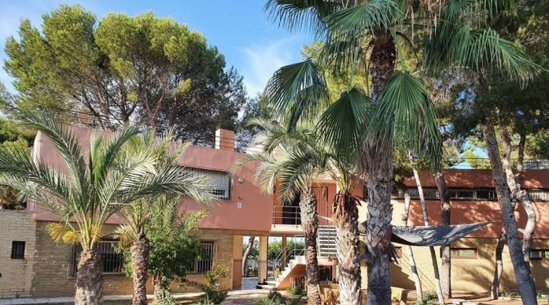Alicante - Torrevieja - 5000m2